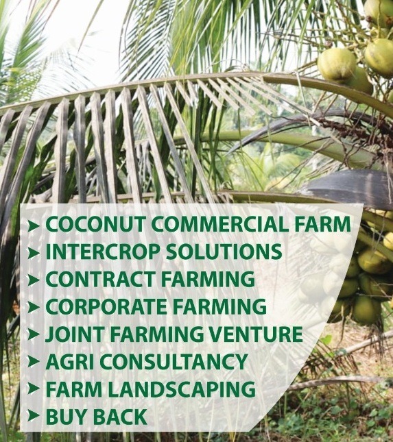 Main Banner Image 1